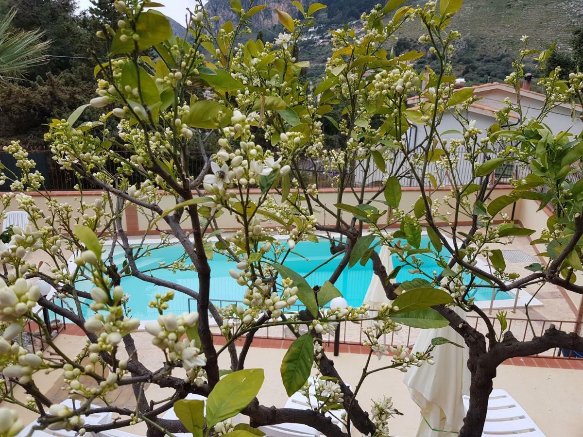 Villa Del Golfo Urio With Swimming Pool Shared By The Two Apartments Santa Flavia Exterior foto